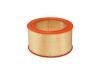 Luftfilter Air Filter:25096143